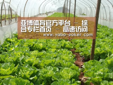 种植基地五
