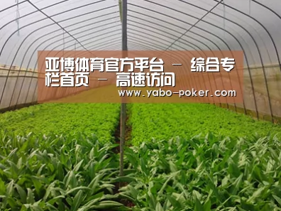 种植基地四