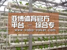 环境展示六