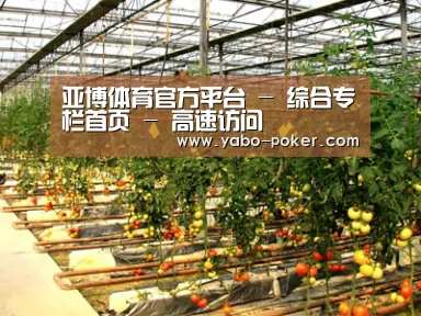 种植基地二