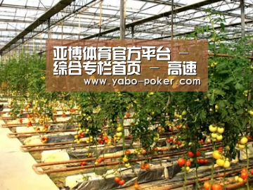 种植基地二(图1)