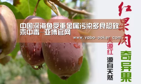 亚博数据