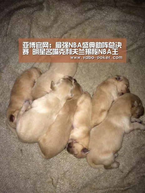 亚博官网