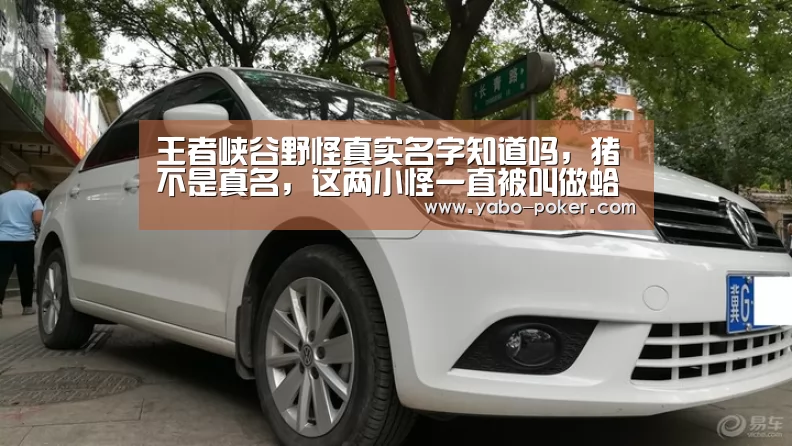 亚博数据