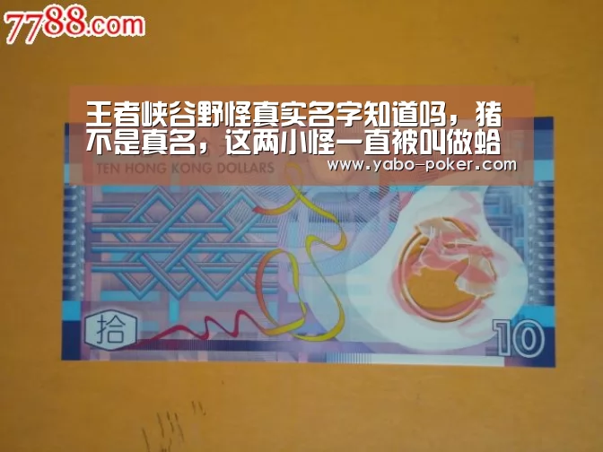 亚博数据