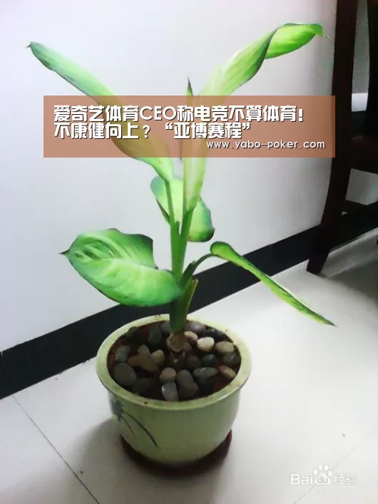 亚博官网