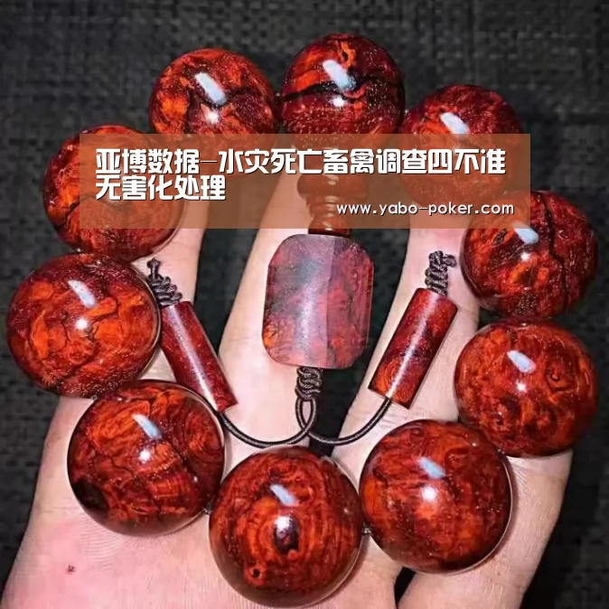 亚博网站