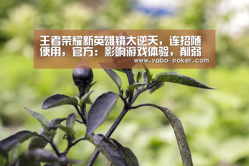 亚博数据