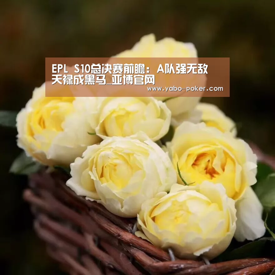 亚博官网
