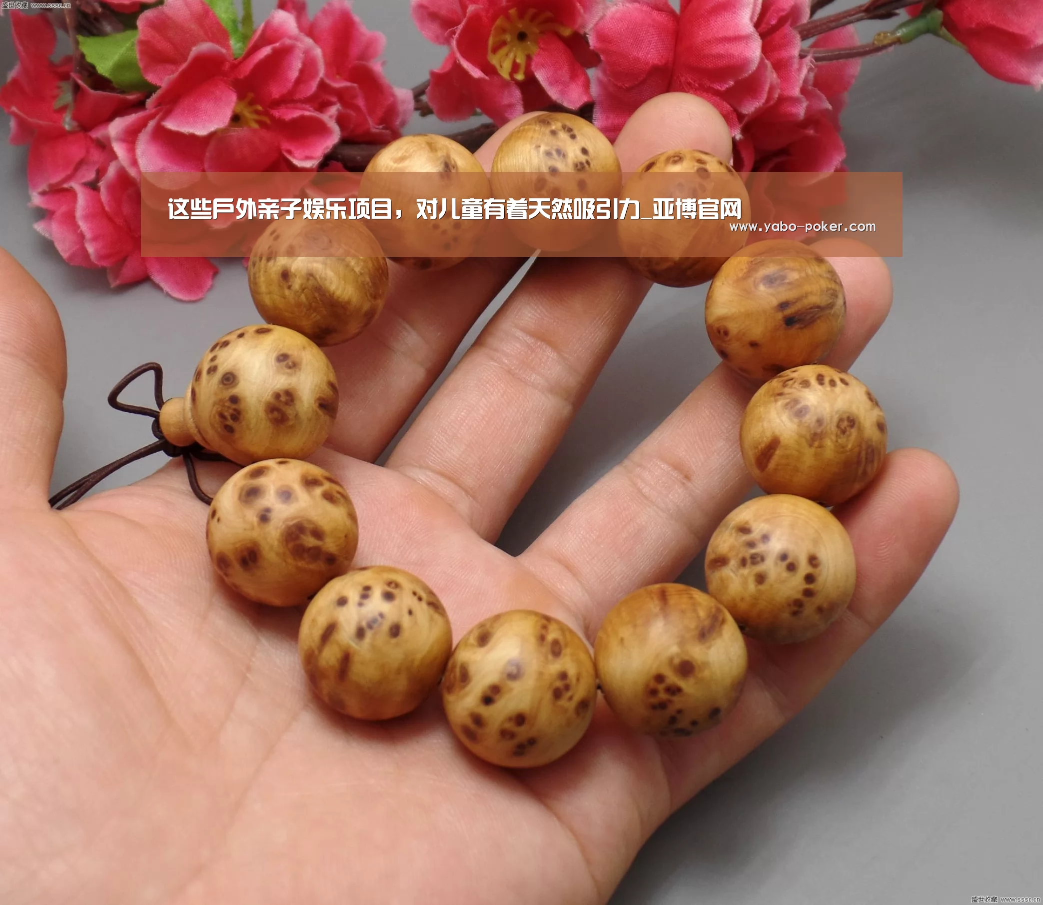 这些户外亲子娱乐项目,对儿童有着天然吸引力_亚博官网(图1) 亚博数据