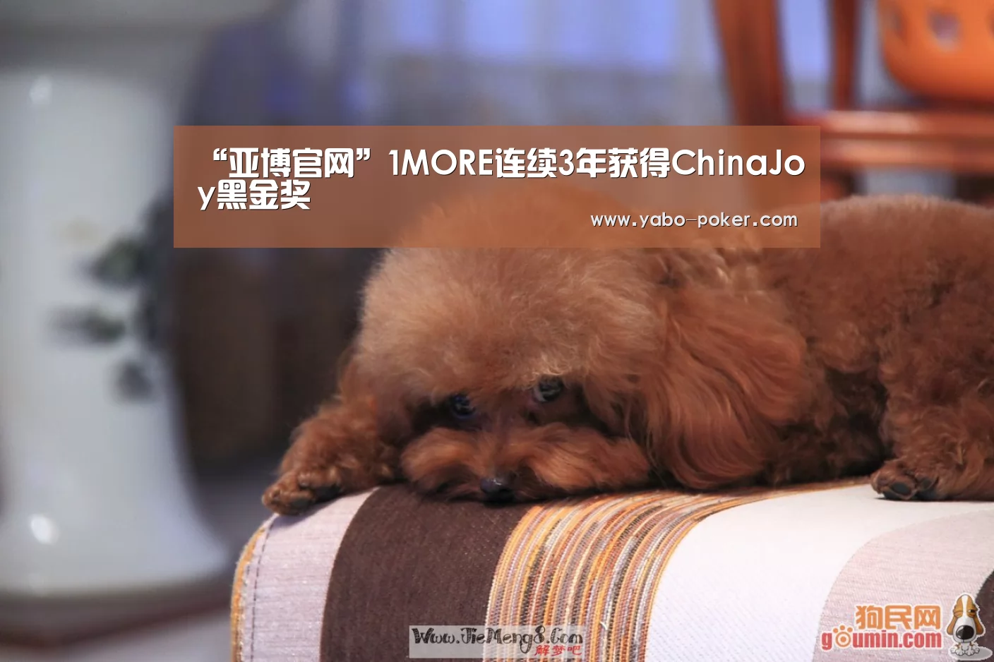 “亚博官网”1MORE连续3年获得ChinaJoy黑金奖(图1) 亚博赛程